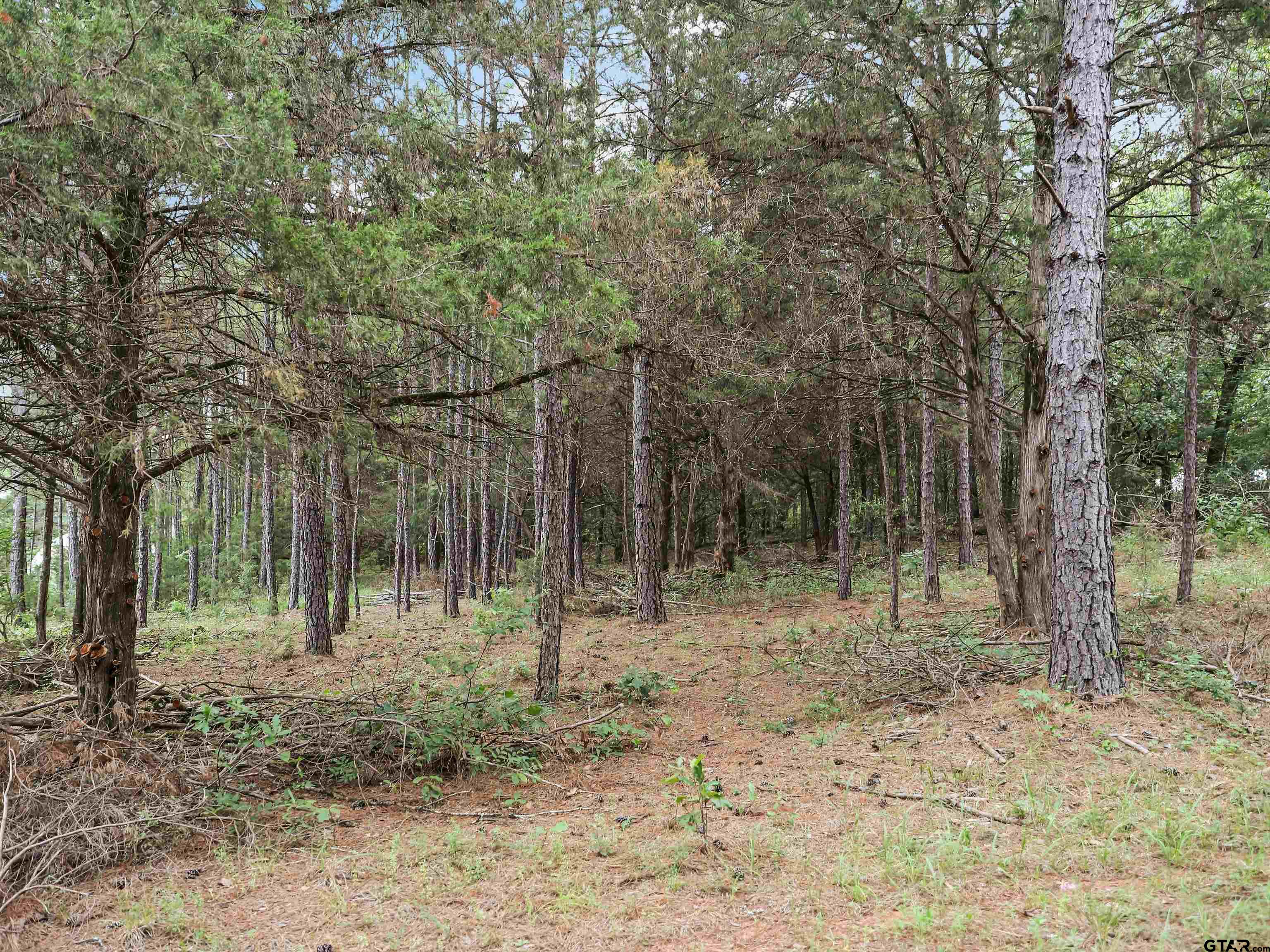 Tbd Cr 413 (5+/- Acres -tract 3) Property Photo